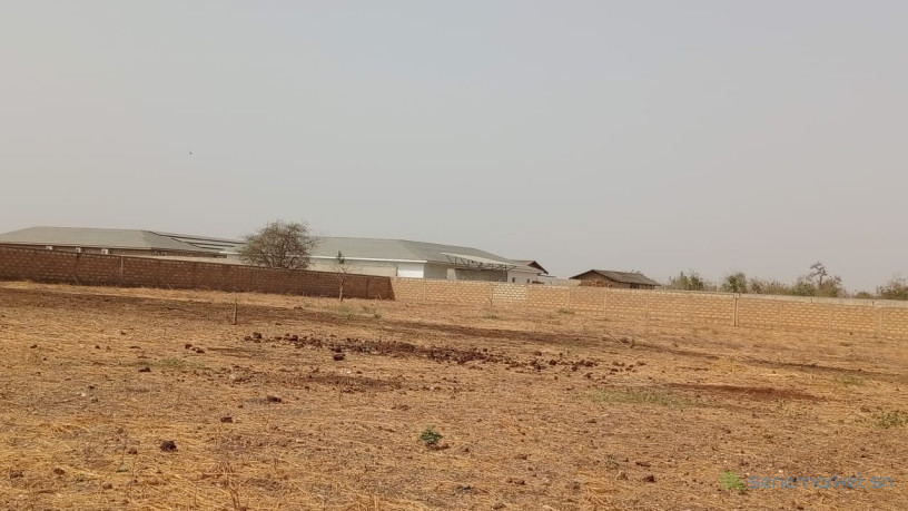 terrain-de-10000-metres-carres-a-vendre-a-ngaparou-senegal-big-2