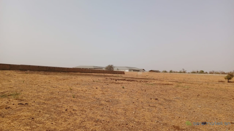 terrain-de-10000-metres-carres-a-vendre-a-ngaparou-senegal-big-3