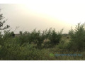 terrain-de-167-hectare-vers-dalla-ngabou-small-1