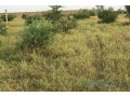 terrain-de-167-hectare-vers-dalla-ngabou-small-2