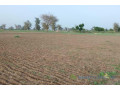 terrain-de-171-hectare-vers-sandiara-small-1