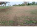 terrain-de-171-hectare-vers-sandiara-small-0
