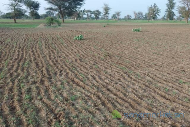 terrain-de-171-hectare-vers-sandiara-big-2
