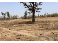 terrain-de-172-hectare-vers-notto-diobass-small-1