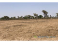 terrain-de-172-hectare-vers-notto-diobass-small-2