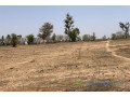 terrain-de-172-hectare-vers-notto-diobass-small-0
