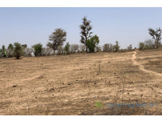 Terrain de 1,72 hectare vers Notto Diobass