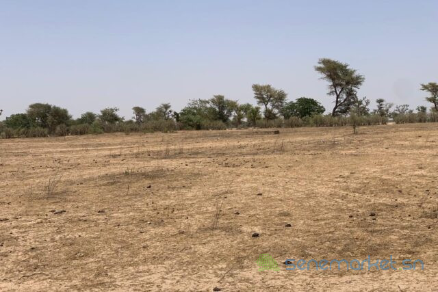 terrain-de-172-hectare-vers-notto-diobass-big-2