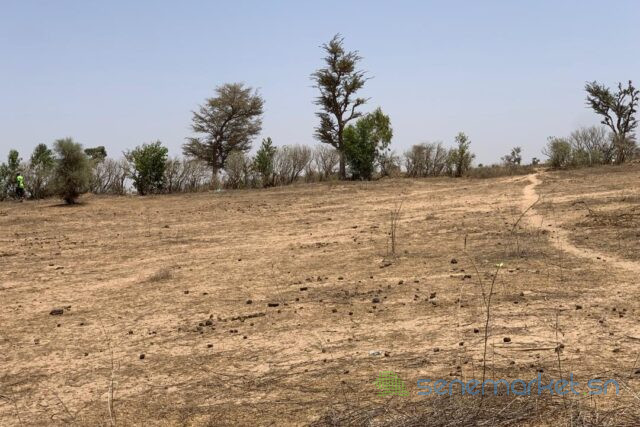 terrain-de-172-hectare-vers-notto-diobass-big-0