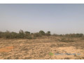 terrain-de-172-hectare-vers-taiba-ndiaye-small-0