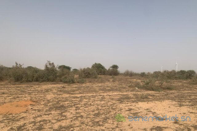 terrain-de-172-hectare-vers-taiba-ndiaye-big-0
