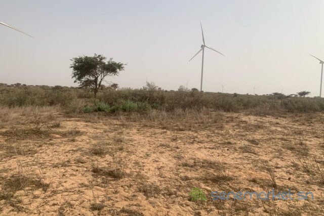 terrain-de-172-hectare-vers-taiba-ndiaye-big-1