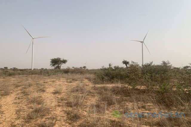 terrain-de-172-hectare-vers-taiba-ndiaye-big-2