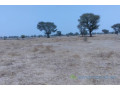 terrain-de-173-hectare-vers-niakhar-small-0