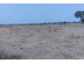 terrain-de-173-hectare-vers-niakhar-small-1