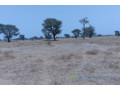 terrain-de-173-hectare-vers-niakhar-small-2