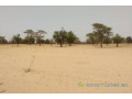 terrain-de-181-hectare-vers-baba-garage-small-2