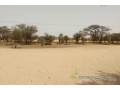 terrain-de-181-hectare-vers-baba-garage-small-1