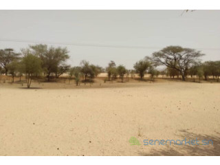 Terrain de 1,81 hectare vers Baba Garage