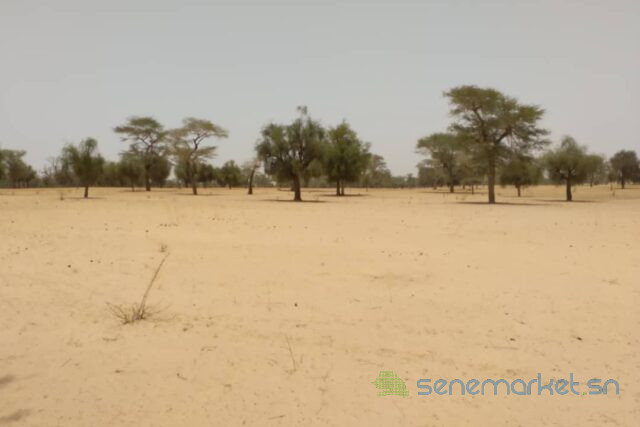 terrain-de-181-hectare-vers-baba-garage-big-2