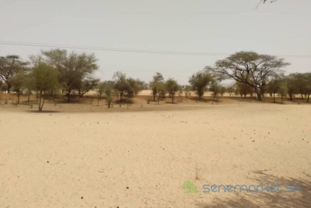terrain-de-181-hectare-vers-baba-garage-big-1