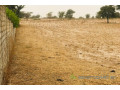 terrain-de-181-hectare-vers-keur-samba-kane-small-2