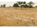 terrain-de-181-hectare-vers-keur-samba-kane-small-1