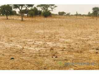 Terrain de 1,81 hectare vers Keur Samba Kane