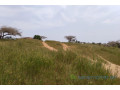 terrain-de-183-hectare-vers-diokoul-diewrigne-small-1
