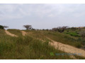 terrain-de-183-hectare-vers-diokoul-diewrigne-small-2