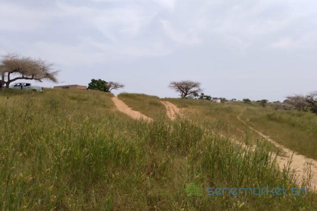 terrain-de-183-hectare-vers-diokoul-diewrigne-big-1
