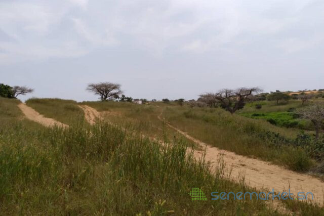 terrain-de-183-hectare-vers-diokoul-diewrigne-big-2
