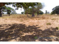 terrain-de-185-hectare-vers-tassette-small-0
