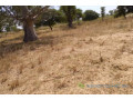 terrain-de-185-hectare-vers-tassette-small-2