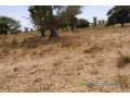 terrain-de-185-hectare-vers-tassette-small-1