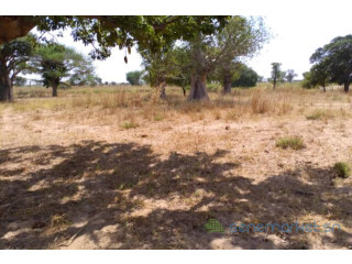 Terrain de 1,85 hectare vers Tassette