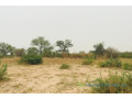 terrain-de-187-hectare-vers-meouane-small-0
