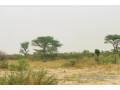 terrain-de-187-hectare-vers-meouane-small-1