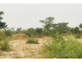 terrain-de-187-hectare-vers-meouane-small-2