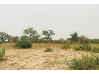 Terrain de 1,87 hectare vers Méouane