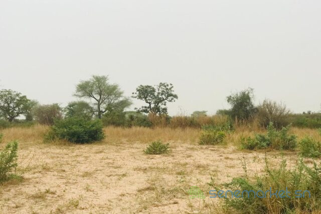 terrain-de-187-hectare-vers-meouane-big-0
