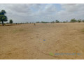 terrain-de-187-hectare-vers-touba-toul-small-1