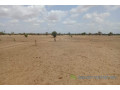 terrain-de-187-hectare-vers-touba-toul-small-2