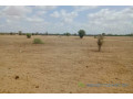 terrain-de-187-hectare-vers-touba-toul-small-0