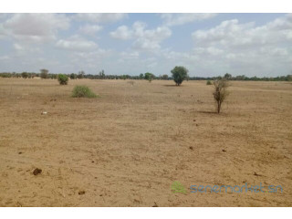 Terrain de 1,87 hectare vers Touba Toul