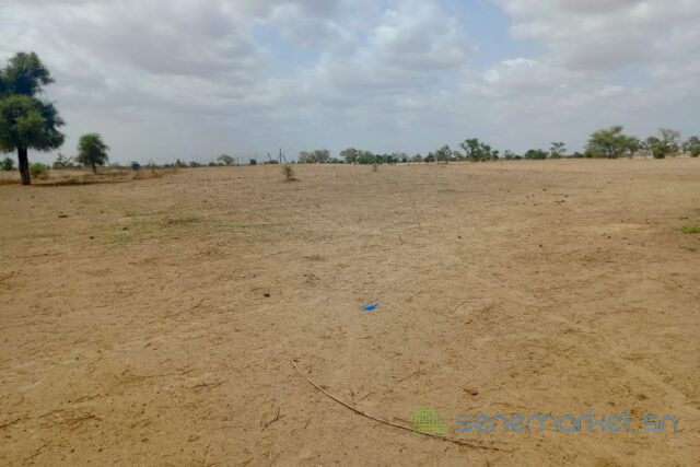 terrain-de-187-hectare-vers-touba-toul-big-1
