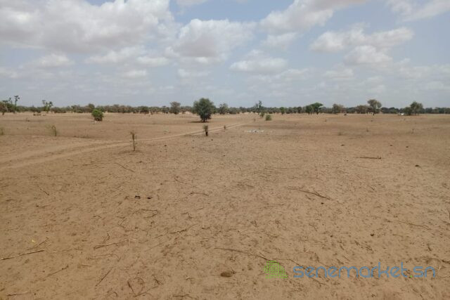 terrain-de-187-hectare-vers-touba-toul-big-2
