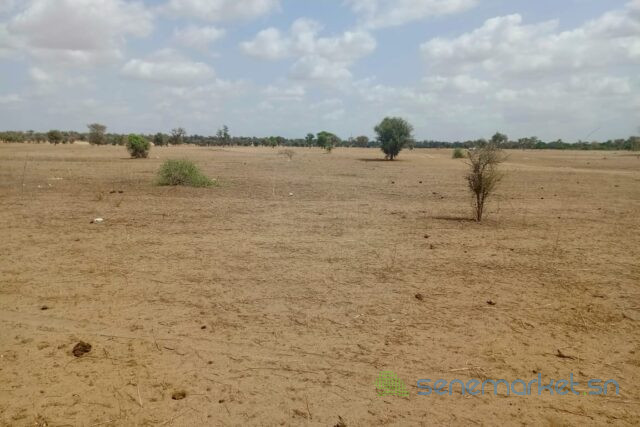 terrain-de-187-hectare-vers-touba-toul-big-0
