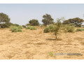 terrain-de-190-hectare-vers-cherif-lo-small-2