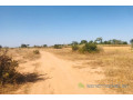 terrain-de-191-hectare-vers-notto-diobass-small-2
